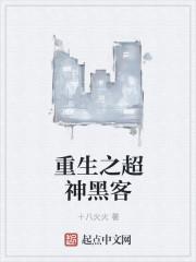 重生之超神黑客 十八火火