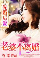 先婚后爱老婆不离婚 乔麦