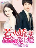 墨少娇妻不能惹