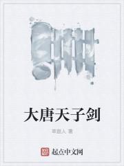 大唐天子游戏