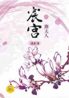 宸宫讲了什么故事