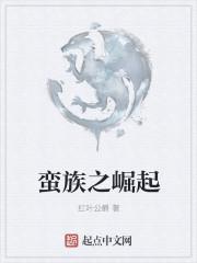 蛮族崛起有几季