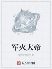 军火帝王by