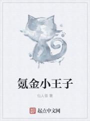 小王子季充值